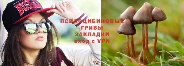 марихуана Заводоуковск