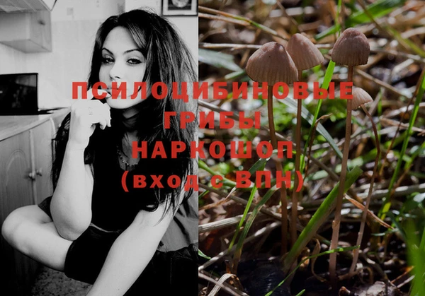ГАЛЛЮЦИНОГЕННЫЕ ГРИБЫ Заволжск