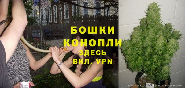 ГАЛЛЮЦИНОГЕННЫЕ ГРИБЫ Заволжск