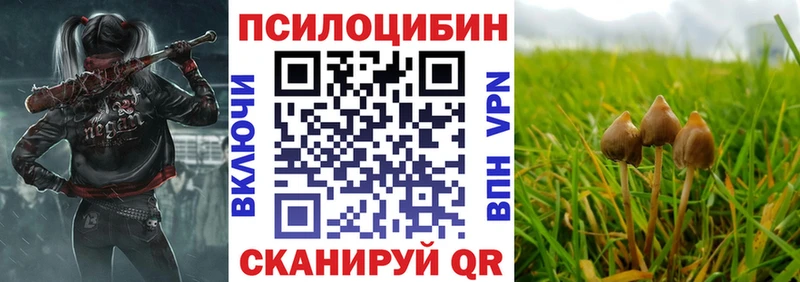 Купить закладки  Калач-на-Дону  Псилоцибиновые грибы Psilocybe 